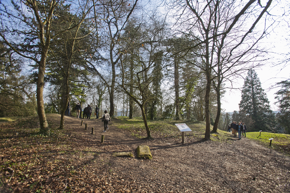 Arboretum de Craonne (Aisne)
