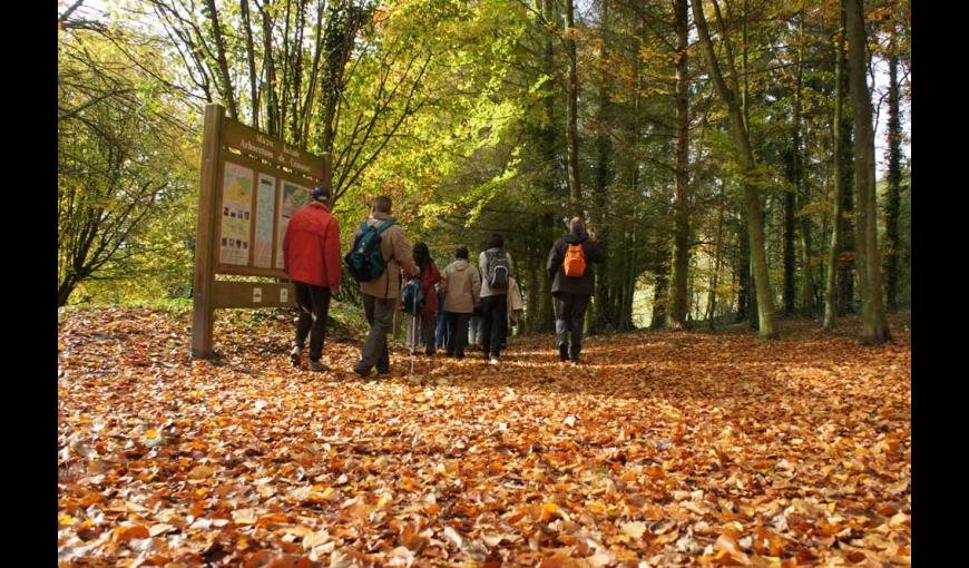 Ancien village de Craonne < Chemin des Dames < Aisne guerre 14-18 < WWI < Picardie < France