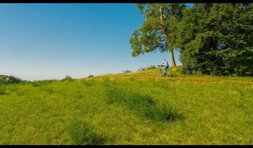 La maison bleue et le bois françon