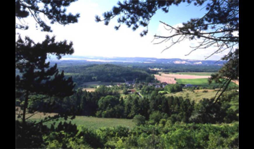 PLATEAU DE CALIFORNIE A CRAONNE