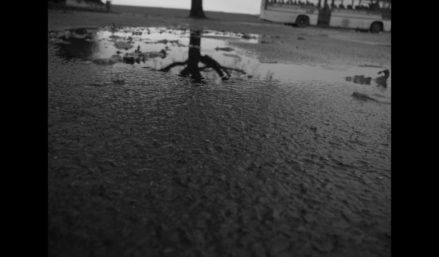 Photographie extraite du projet pédagogique 2009-2010 en partenariat avec le collège de d'Anizy-le-Château et la Caverne du Dragon.