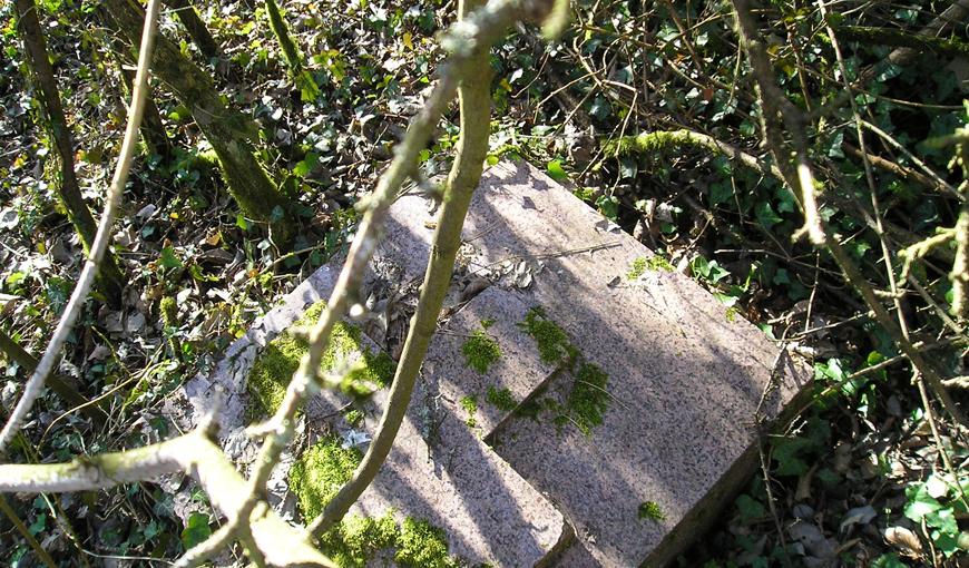 Photographie extraite du projet pédagogique 2008-2009 en partenariat avec le collège de Corbeny,  le photographe Bruno Gouhoury et la Caverne du Dragon.