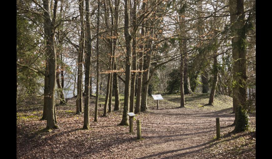 L'arboretum de Craonne (Aisne)