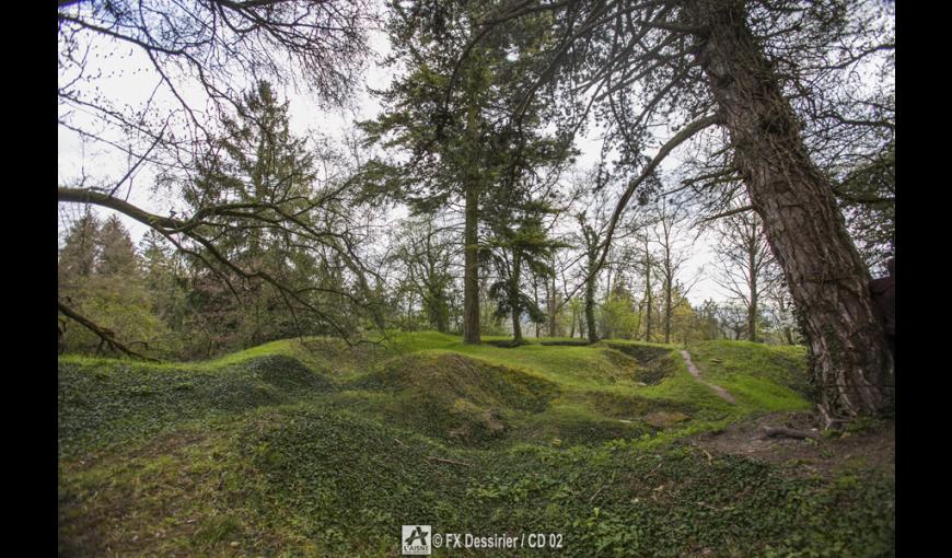 [Craonne] L'arboretum