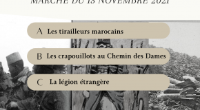 Affiche thématique marche du 13 novembre