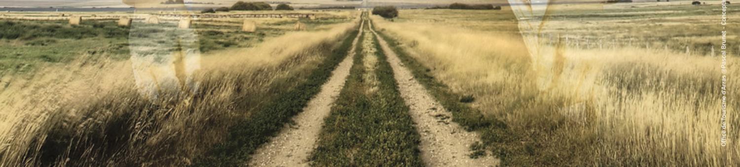Exposition : Terre et d'acier, Archéologie de la Grande Guerre