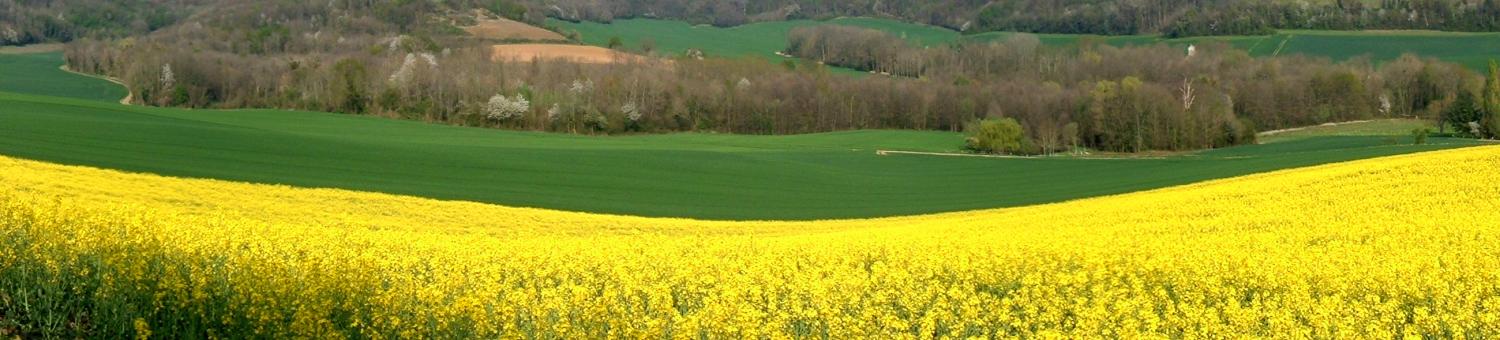 Paysage du Chemin des Dames (Aisne)